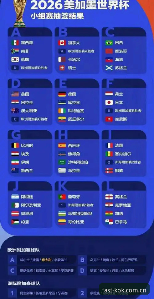 世界杯观赛签证危机应对指南：kok中欧平台带你深度解析赛事入场难题
